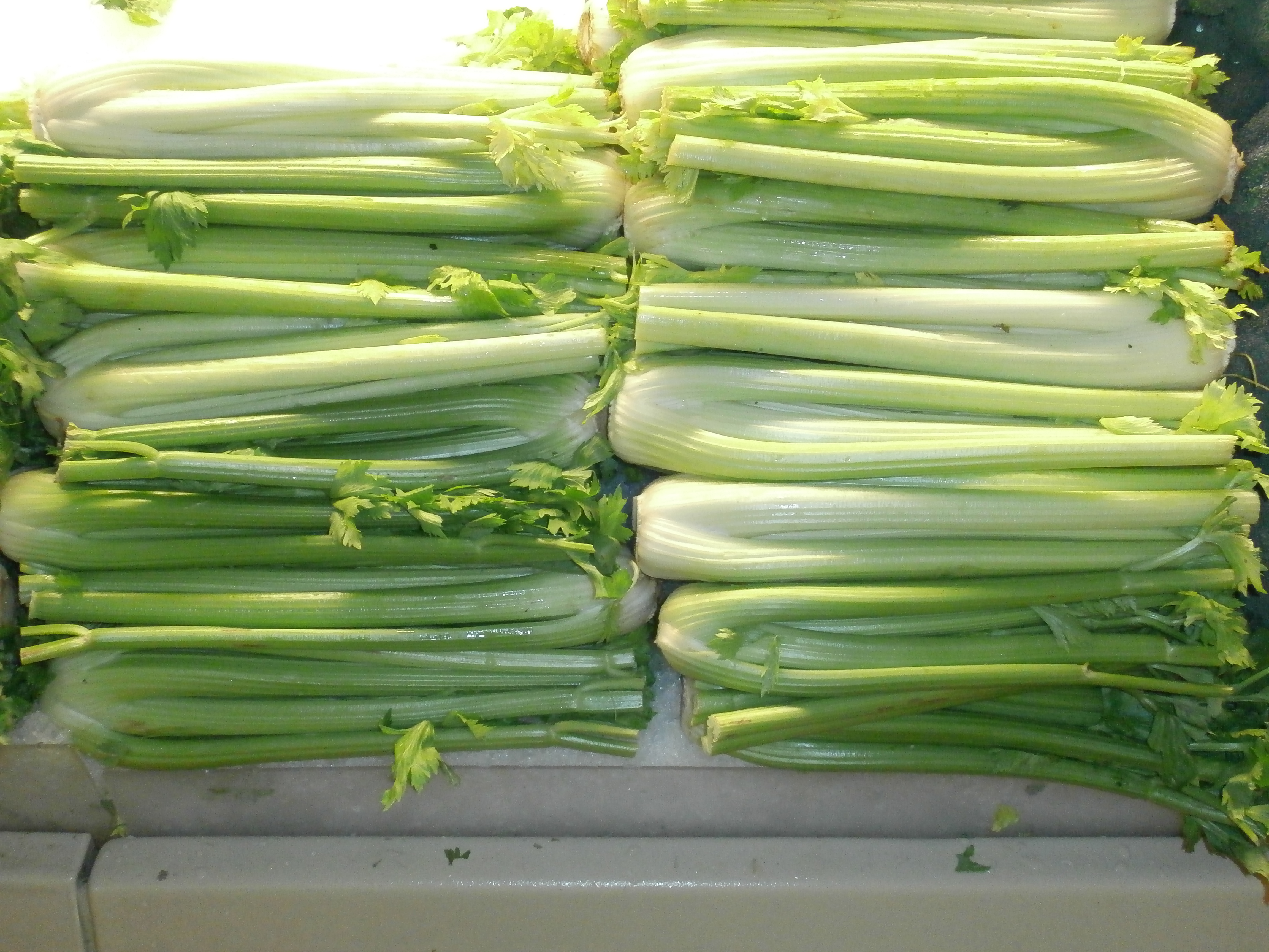 Celery