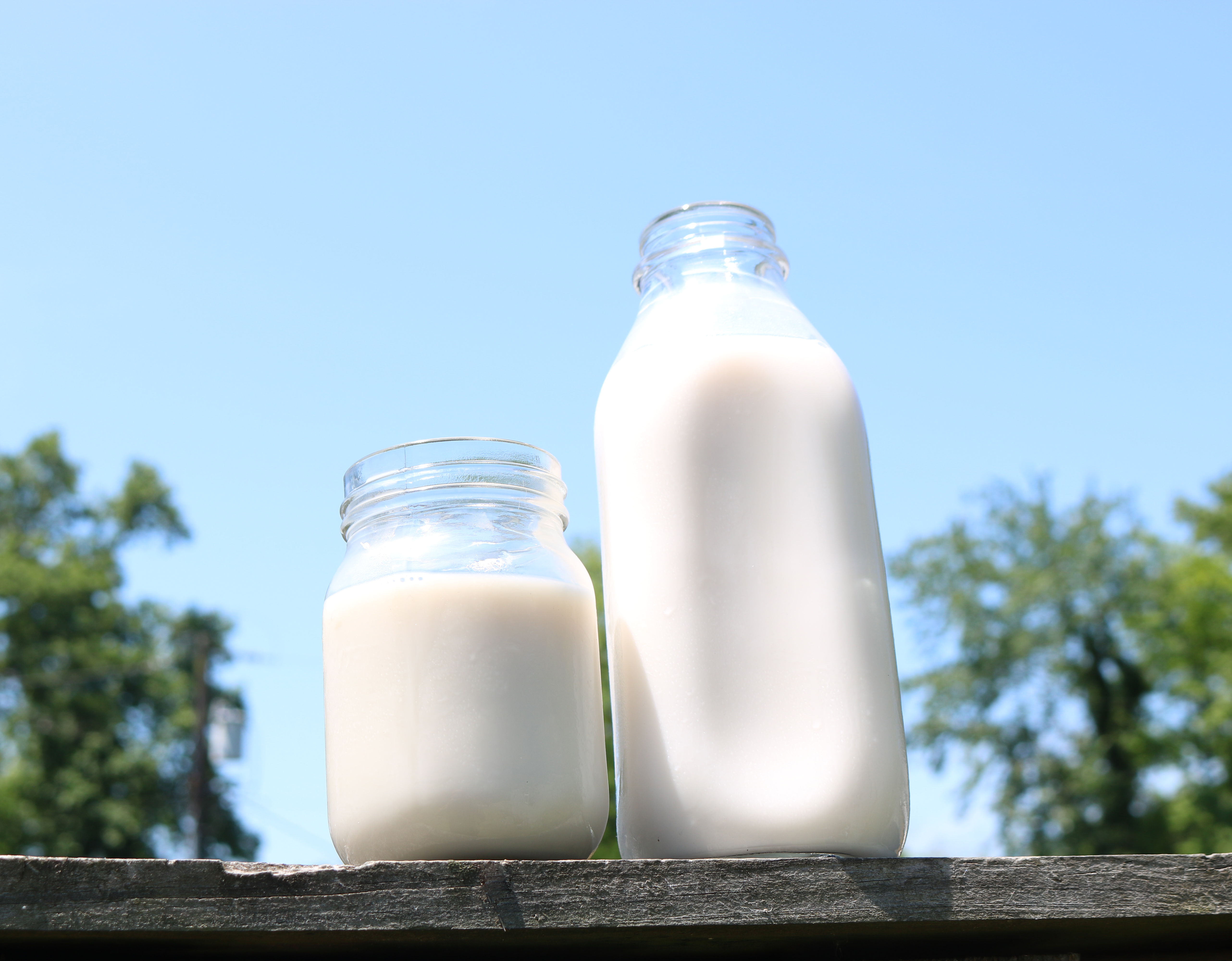 Milk