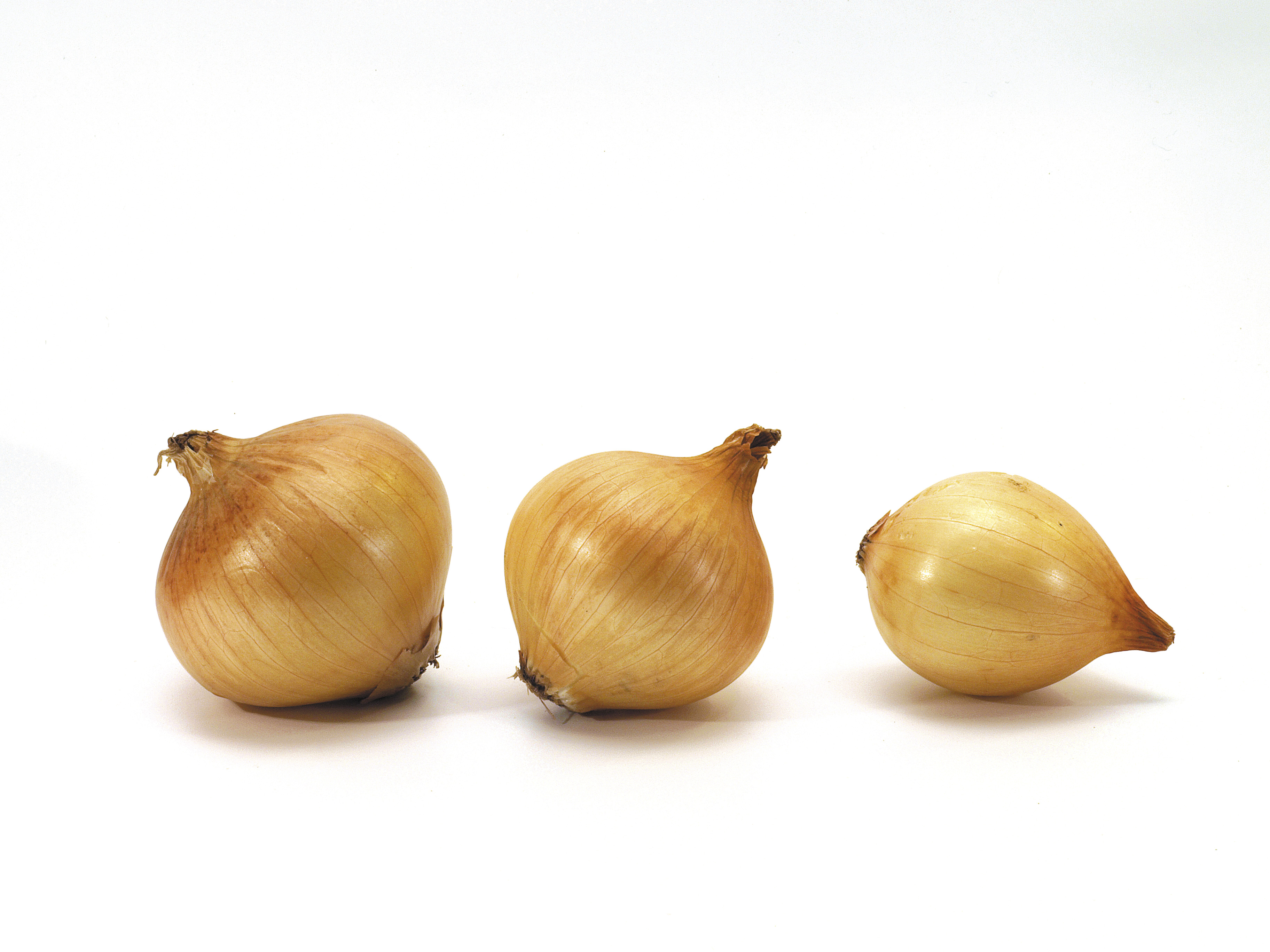 Onions