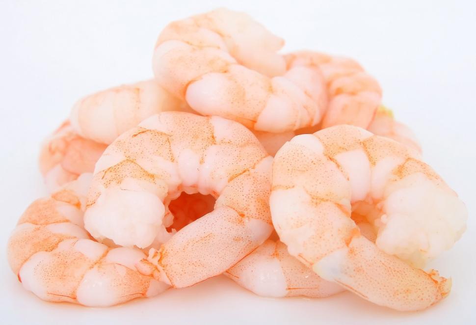Shrimp