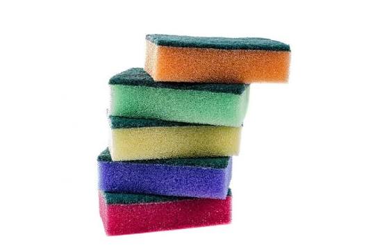Sponges